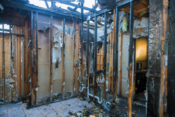 Professional Fire Damage Removal technician working in Citrus, CA
